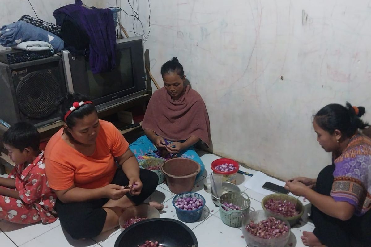Bukan Rp700 Ribu, Realitas Upah Pengupas Bawang di Bogor Justru Jauh di Bawah Klaim Prabowo